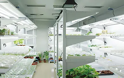 Laboratwa ak tanperati konstan ak planifikasyon kontwòl